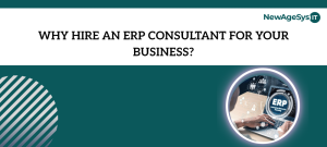 Why Hire An ERP Consultant For Your Business?