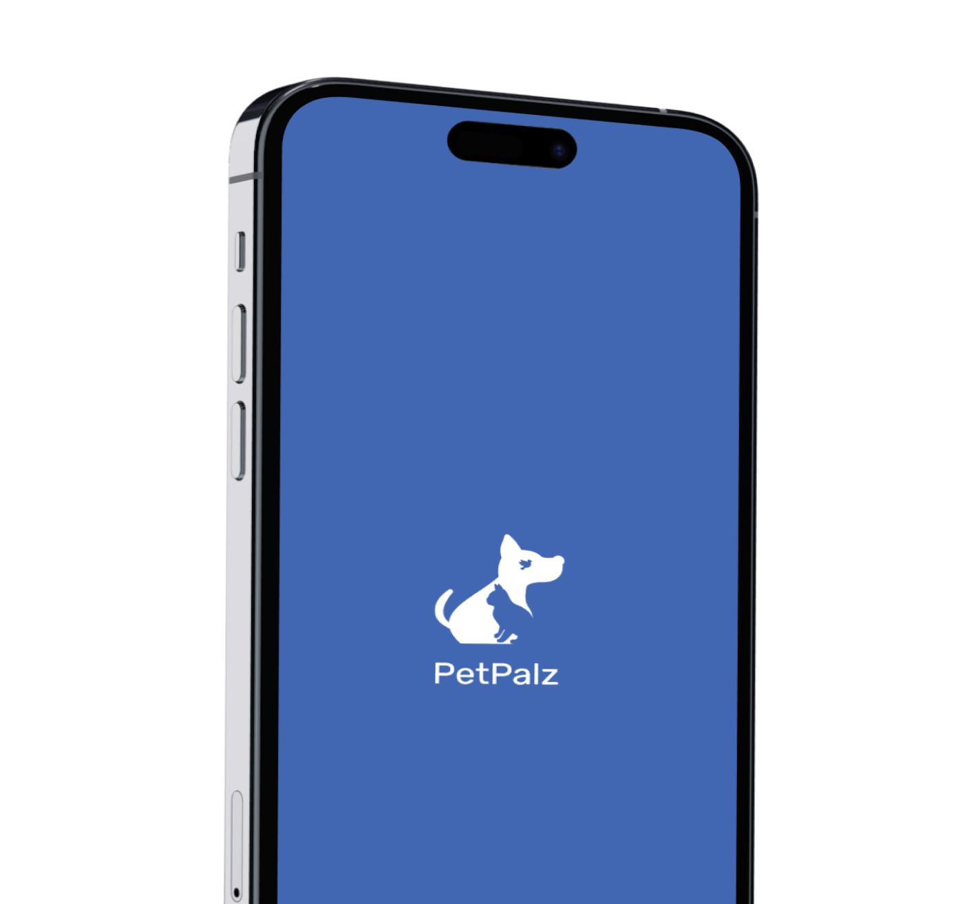 PetPalz Case Study