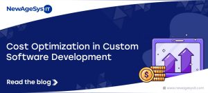 Cost Optimization in Custom Software Development