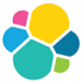 elasticsearch